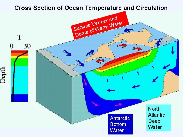 Cross Section of Ocean Temperature and Circulation nd a r e ene Water V