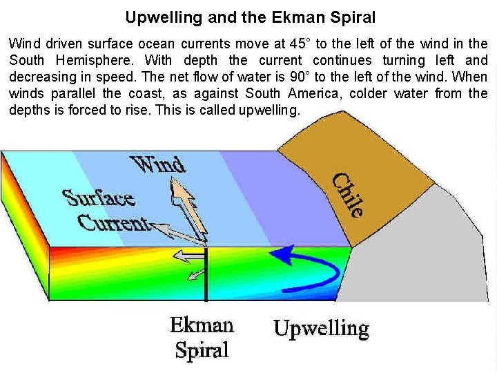 Upwelling and the Ekman Spiral Wind driven surface ocean currents move at 45° to