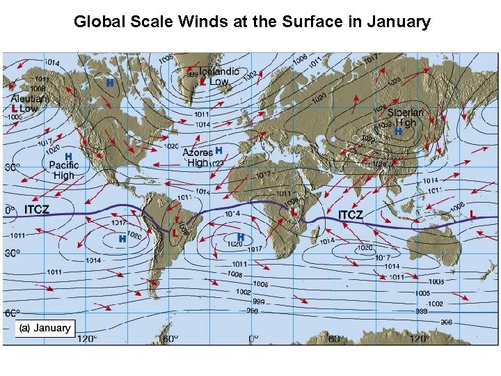 Global Scale Winds at the Surface in January 