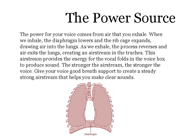 The Power Source The power for your voice comes from air that you exhale.