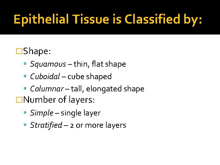 Epithelial Tissue is Classified by: �Shape: Squamous – thin, flat shape Cuboidal – cube