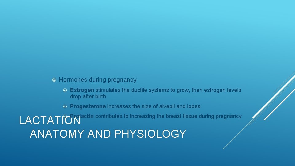  Hormones during pregnancy Estrogen stimulates the ductile systems to grow, then estrogen levels