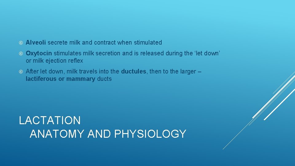  Alveoli secrete milk and contract when stimulated Oxytocin stimulates milk secretion and is