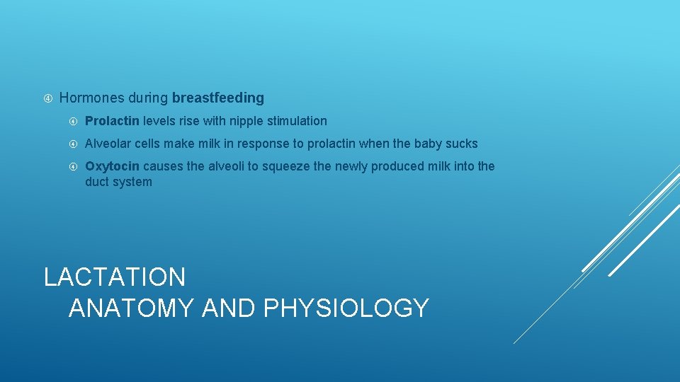  Hormones during breastfeeding Prolactin levels rise with nipple stimulation Alveolar cells make milk