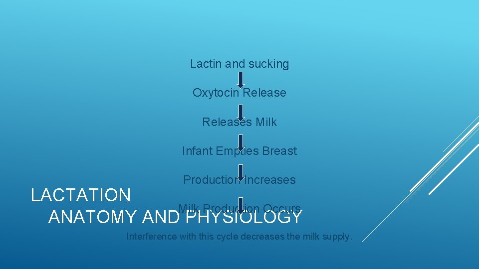 Lactin and sucking Oxytocin Releases Milk Infant Empties Breast Production Increases LACTATION Milk Production