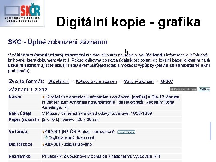 Digitální kopie - grafika 