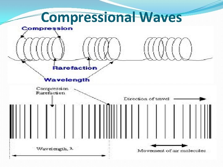 Compressional Waves 