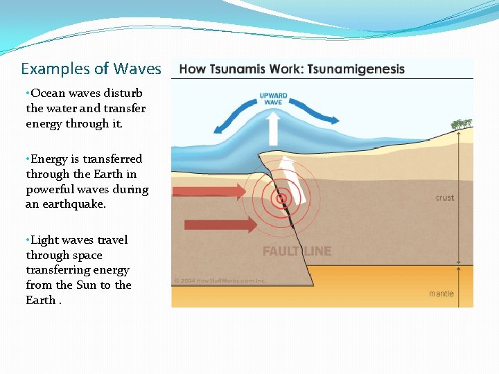 Examples of Waves • Ocean waves disturb the water and transfer energy through it.