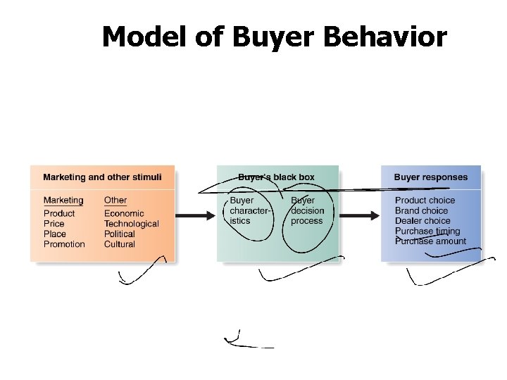 Model of Buyer Behavior 