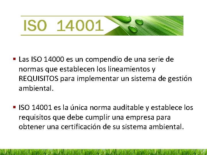 § Las ISO 14000 es un compendio de una serie de normas que establecen