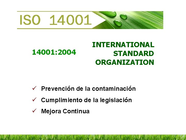 14001: 2004 INTERNATIONAL STANDARD ORGANIZATION ü Prevención de la contaminación ü Cumplimiento de la