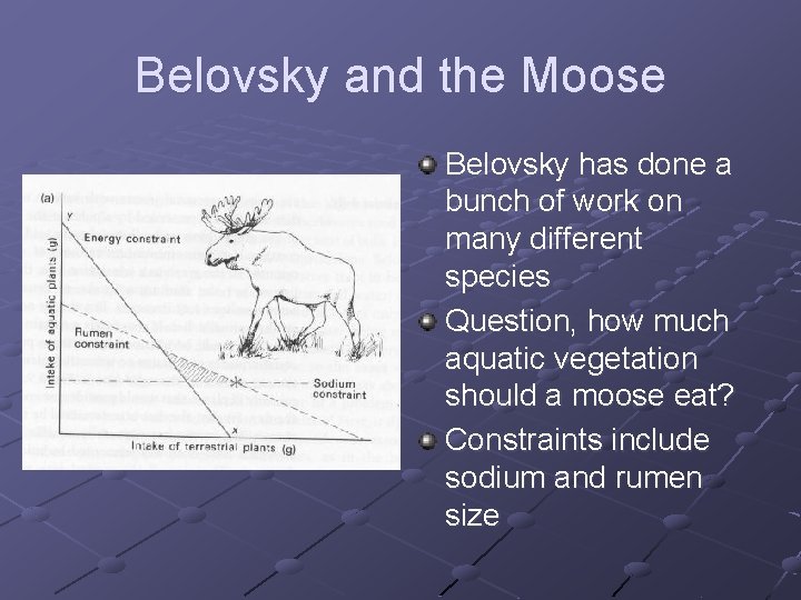 Belovsky and the Moose Belovsky has done a bunch of work on many different