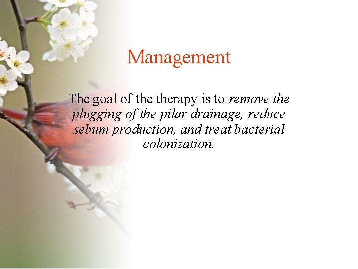 Management The goal of therapy is to remove the plugging of the pilar drainage,