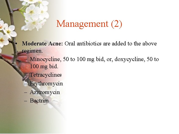 Management (2) • Moderate Acne: Oral antibiotics are added to the above regimen. –