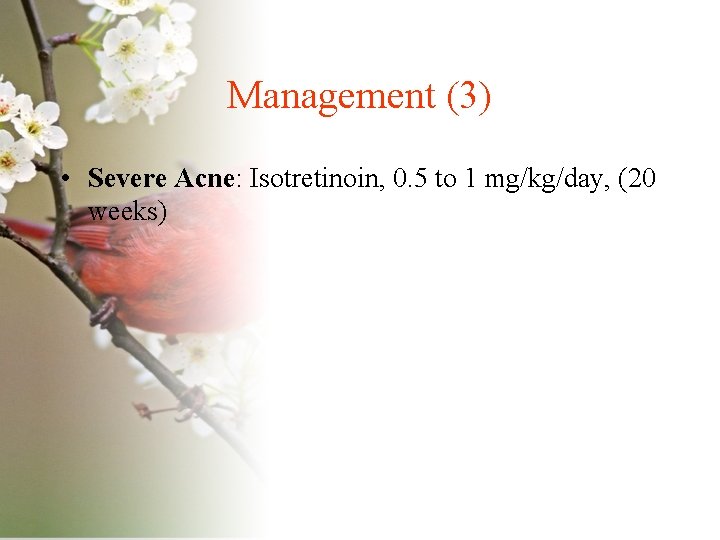 Management (3) • Severe Acne: Isotretinoin, 0. 5 to 1 mg/kg/day, (20 weeks) 