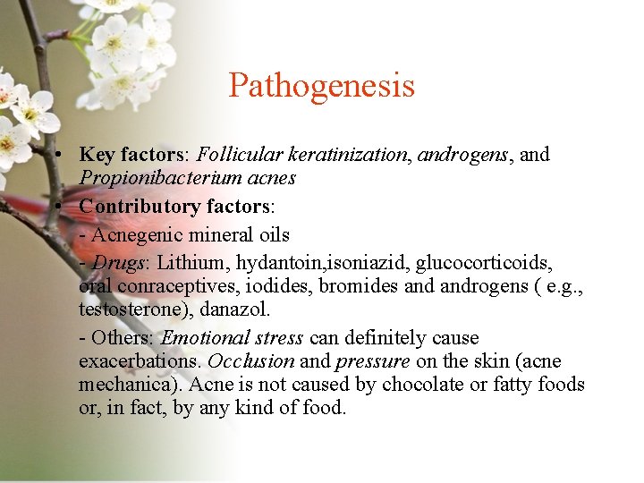 Pathogenesis • Key factors: Follicular keratinization, androgens, and Propionibacterium acnes • Contributory factors: -