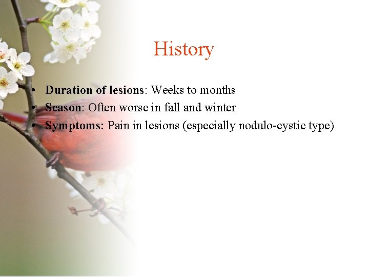 History • Duration of lesions: Weeks to months • Season: Often worse in fall