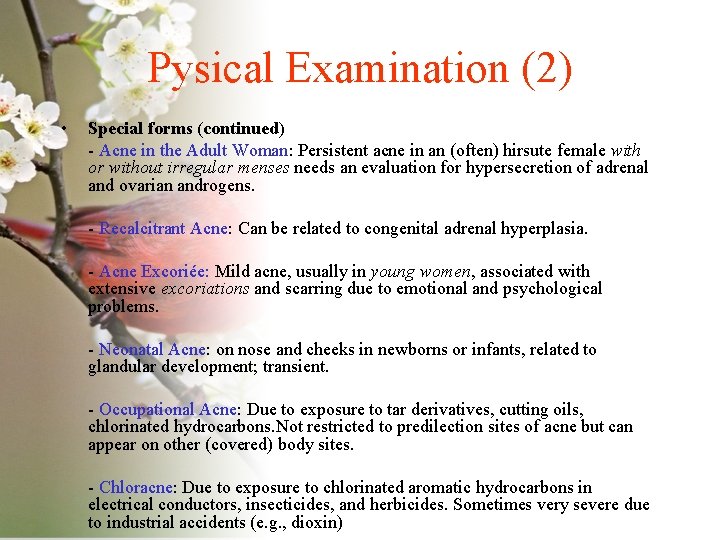 Pysical Examination (2) • Special forms (continued) - Acne in the Adult Woman: Persistent