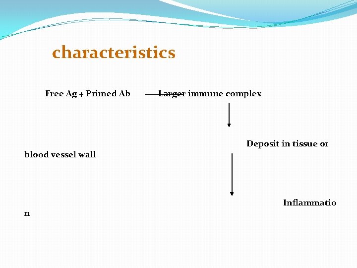 characteristics Free Ag + Primed Ab blood vessel wall n Larger immune complex Deposit