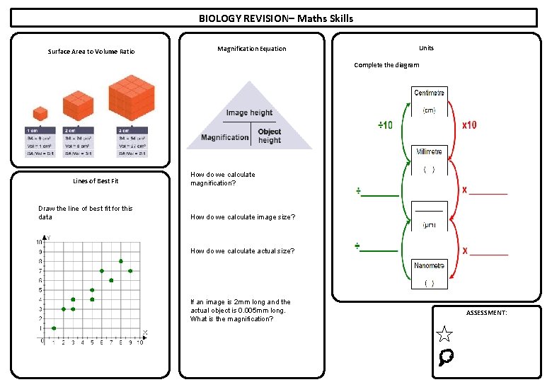 BIOLOGY REVISION– Maths Skills Surface Area to Volume Ratio Magnification Equation Units Complete the