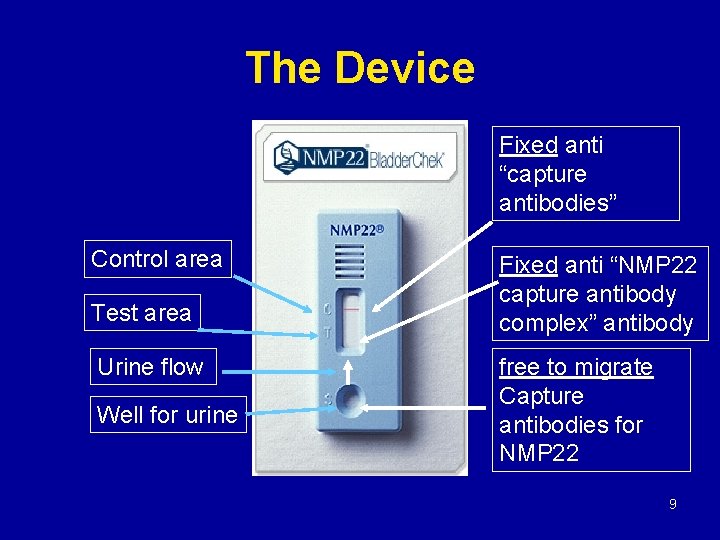The Device Fixed anti “capture antibodies” Control area Test area Urine flow Well for