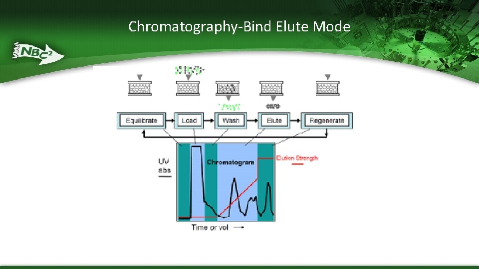 Chromatography-Bind Elute Mode 