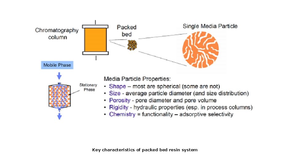 Key characteristics of packed bed resin system 