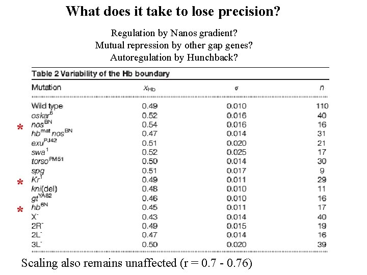 What does it take to lose precision? Regulation by Nanos gradient? Mutual repression by