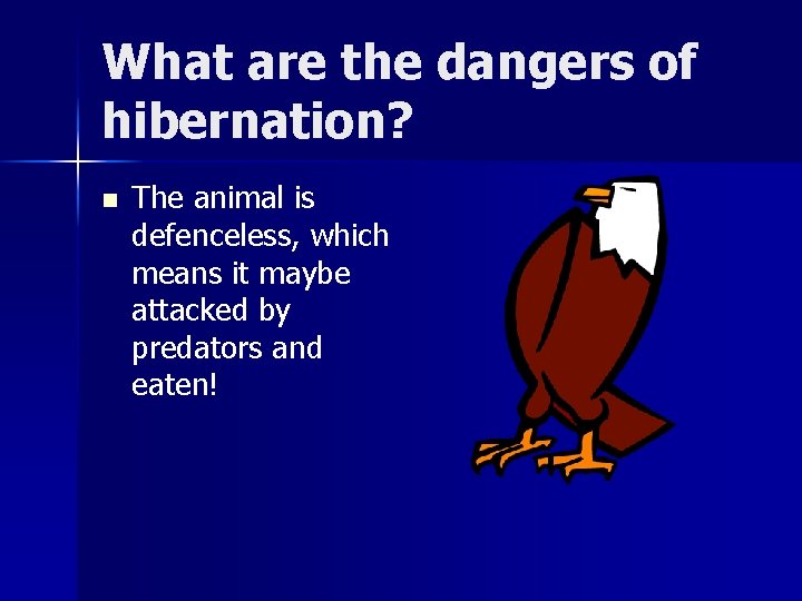 What are the dangers of hibernation? n The animal is defenceless, which means it