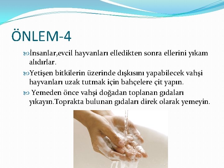 ÖNLEM-4 İnsanlar, evcil hayvanları elledikten sonra ellerini yıkam alıdırlar. Yetişen bitkilerin üzerinde dışkısını yapabilecek