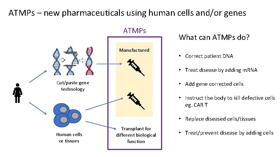 ATMPs – new pharmaceuticals using human cells and/or genes ATMPs Manufactured What can ATMPs