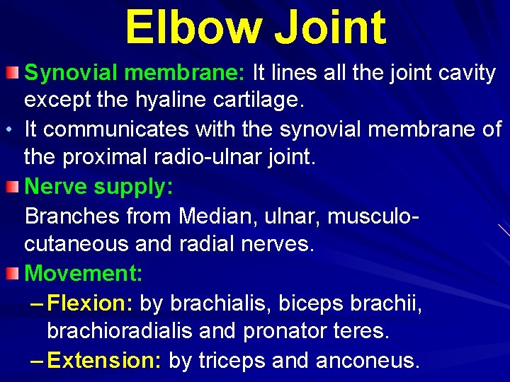 Elbow Joint Synovial membrane: It lines all the joint cavity except the hyaline cartilage.