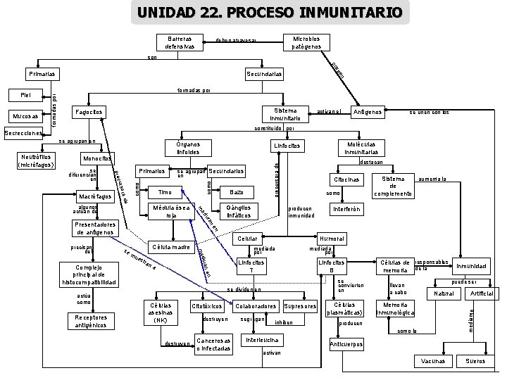 UNIDAD 22. PROCESO INMUNITARIO Barreras defensivas Microbios patógenos deben atravesar son formadas por Sistema