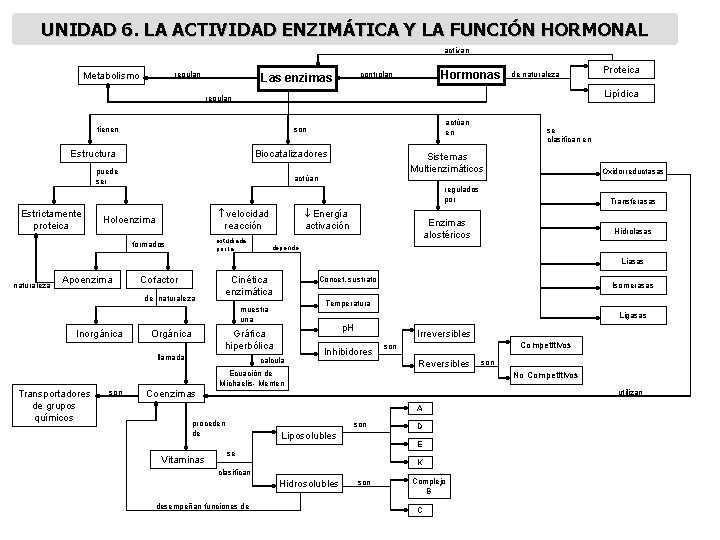 UNIDAD 6. LA ACTIVIDAD ENZIMÁTICA Y LA FUNCIÓN HORMONAL activan Metabolismo regulan Hormonas controlan