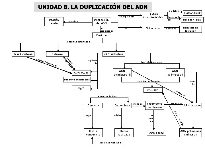 UNIDAD 8. LA DUPLICACIÓN DEL ADN se explica por División celular Duplicación del ADN