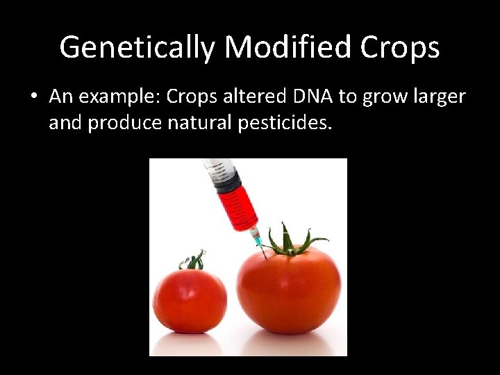 Genetically Modified Crops • An example: Crops altered DNA to grow larger and produce