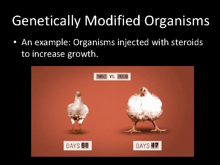 Genetically Modified Organisms • An example: Organisms injected with steroids to increase growth. 
