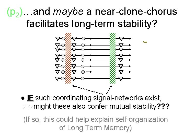 (p 2)…and maybe a near-clone-chorus facilitates long-term stability? feedback (+ or – reinforcement) Adap