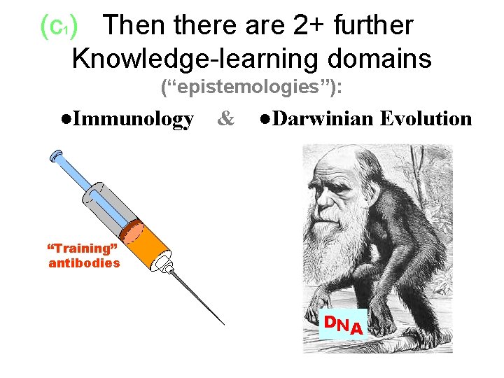 (c ) Then there are 2+ further xxx Knowledge-learning domains 1 (“epistemologies”): xx●Immunology &