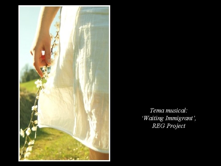 Tema musical: ‘Waiting Immigrant’, REG Project 