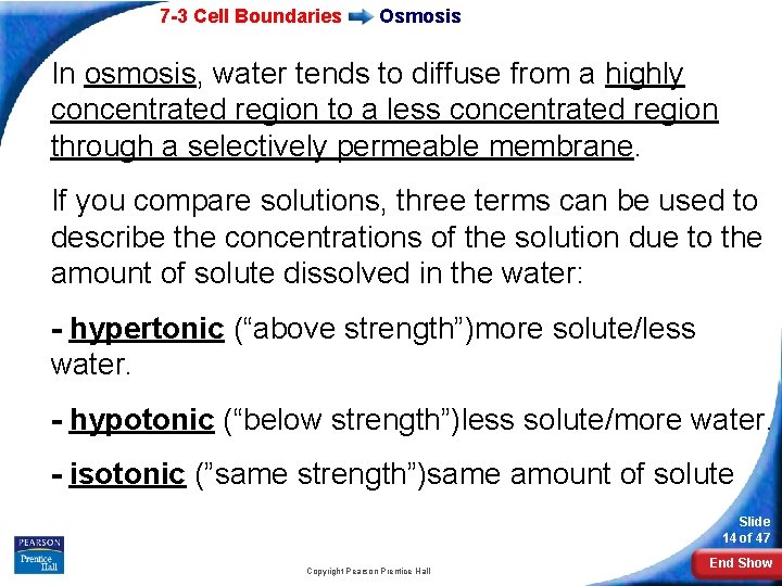 7 -3 Cell Boundaries Osmosis In osmosis, water tends to diffuse from a highly