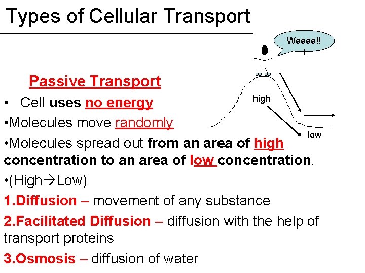 Types of Cellular Transport Weeee!! ! Passive Transport high • Cell uses no energy