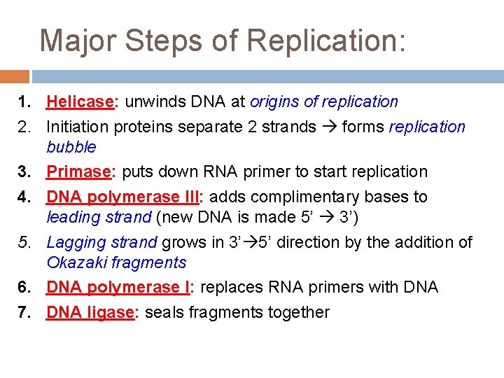 Major Steps of Replication: 1. Helicase: unwinds DNA at origins of replication 2. Initiation