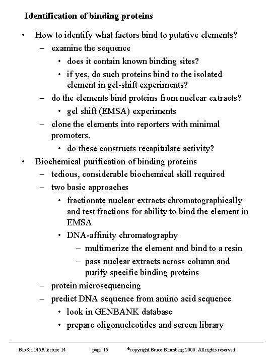 Identification of binding proteins • • How to identify what factors bind to putative