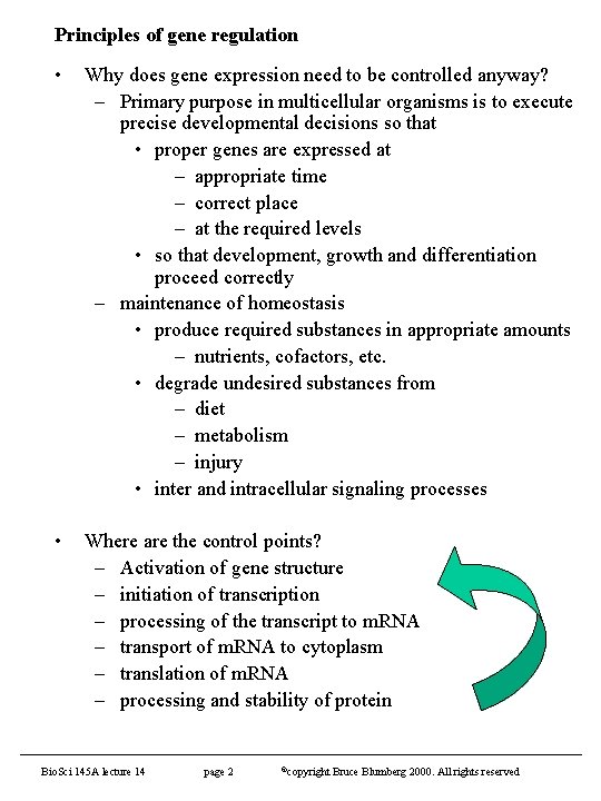 Principles of gene regulation • Why does gene expression need to be controlled anyway?