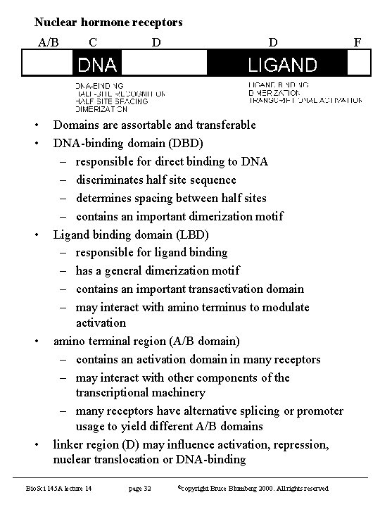 Nuclear hormone receptors A/B • • • C D D Domains are assortable and