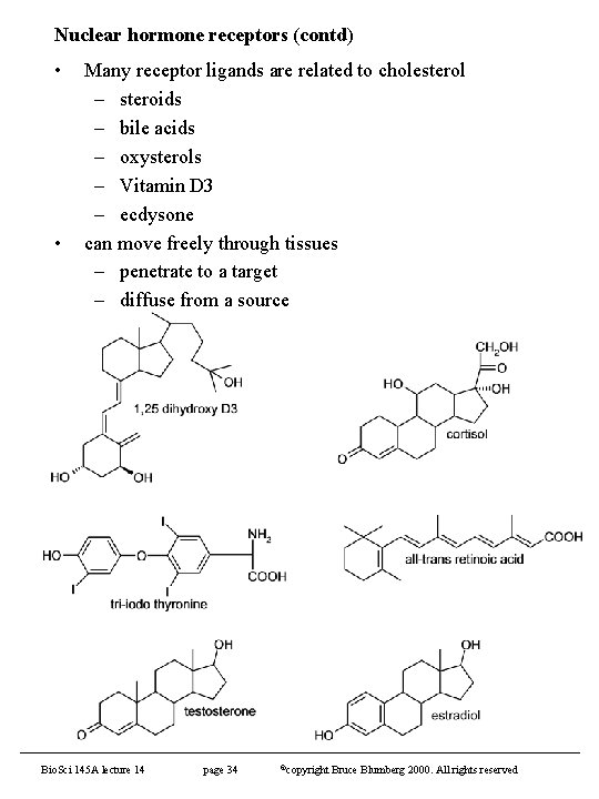 Nuclear hormone receptors (contd) • • Many receptor ligands are related to cholesterol –