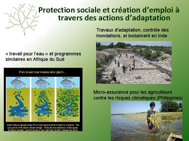 Protection sociale et création d’emploi à travers des actions d’adaptation Travaux d'adaptation, contrôle des