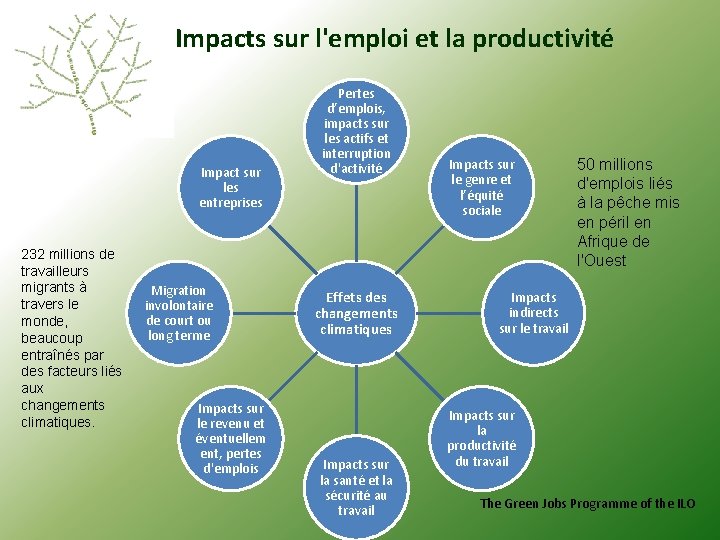 Impacts sur l'emploi et la productivité Impact sur les entreprises 232 millions de travailleurs