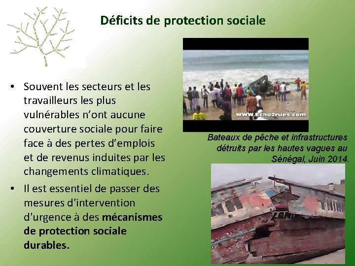 Déficits de protection sociale • Souvent les secteurs et les travailleurs les plus vulnérables